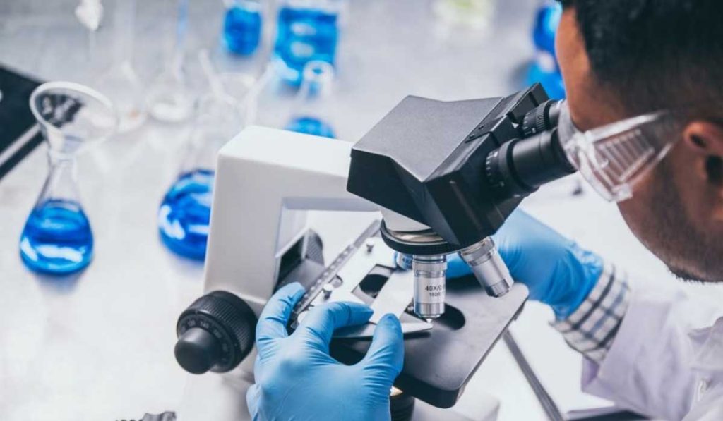 AIML – BioDoc: Development of AI and Machine Learning Imaging Applications for Bioresource Identification and Documentation in Nigeria. AIML – BioDoc: Development of AI and Machine Learning Imaging Applications for Bioresource Identification and Documentation in Nigeria.